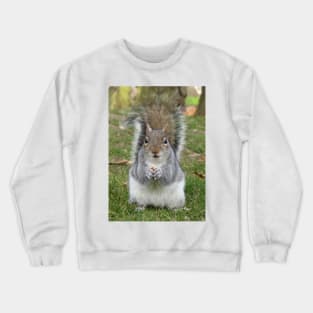 Poser Crewneck Sweatshirt